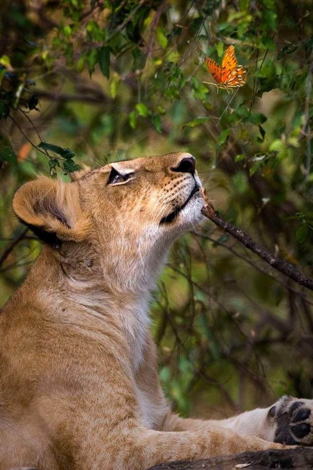 @Juanka_369 tweet media