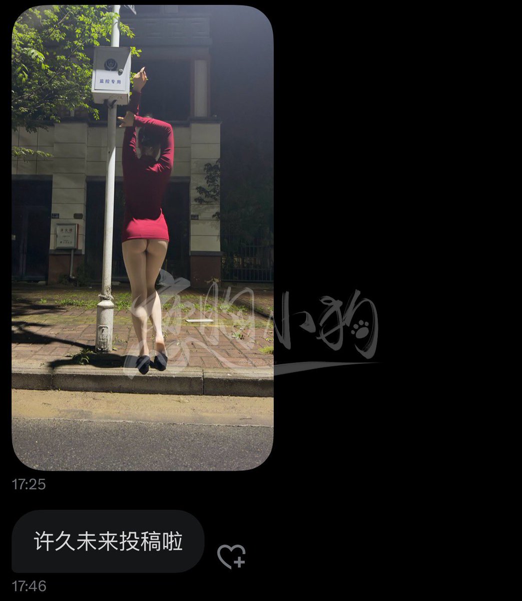 恋胸小狗🐾 tweet media