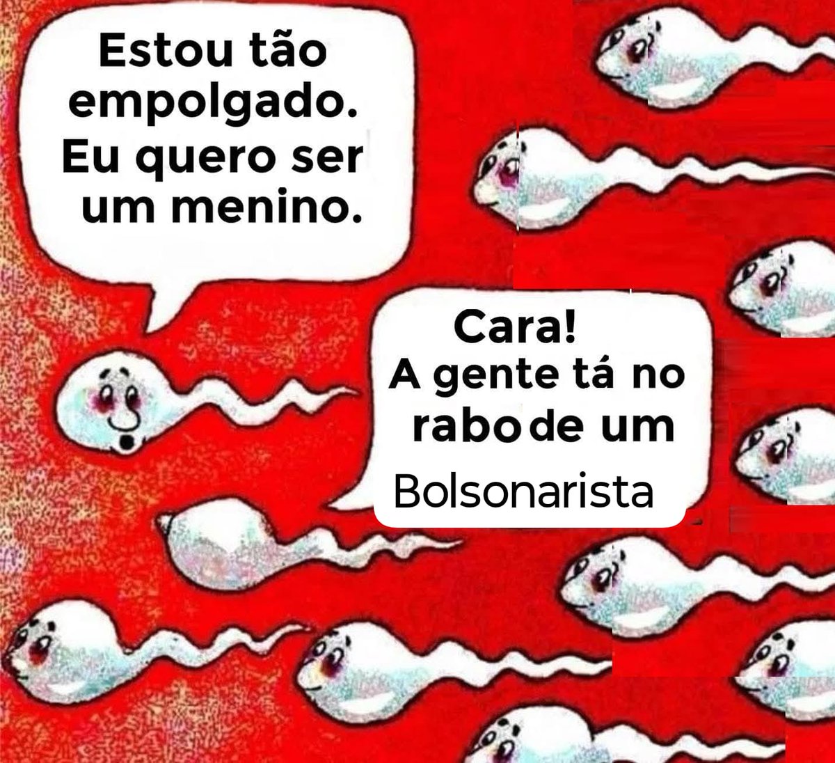 Christine Reis tweet media