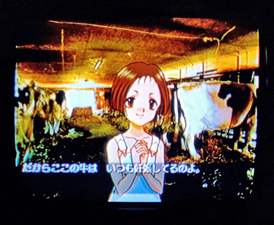 秋槻 浩太 tweet media