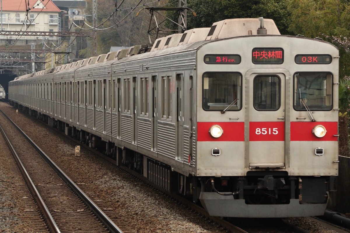 園 公 林 森 tweet media