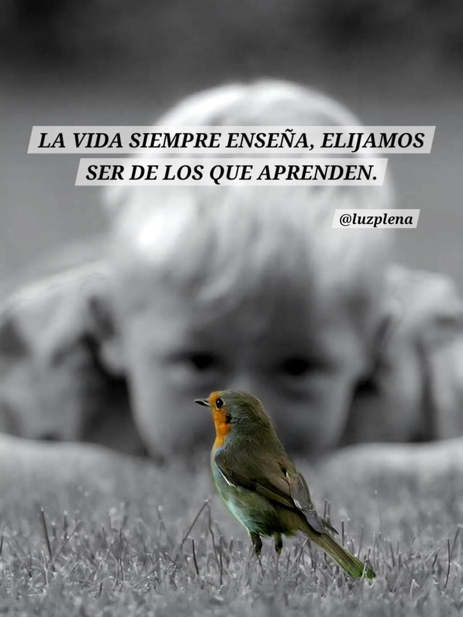 Alondra tweet media