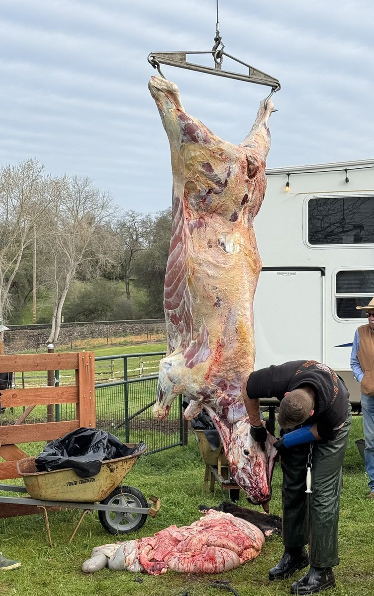 GrandDadeo's tweet photo. @thebbvegan Yes they do, because they helped the throughout the entire process, and now it’s the grandkids turn… https://t.co/MUOymVyHYf