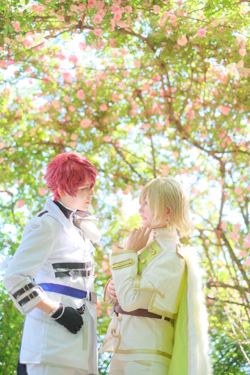 殊杞(ことこ)🪶 tweet media