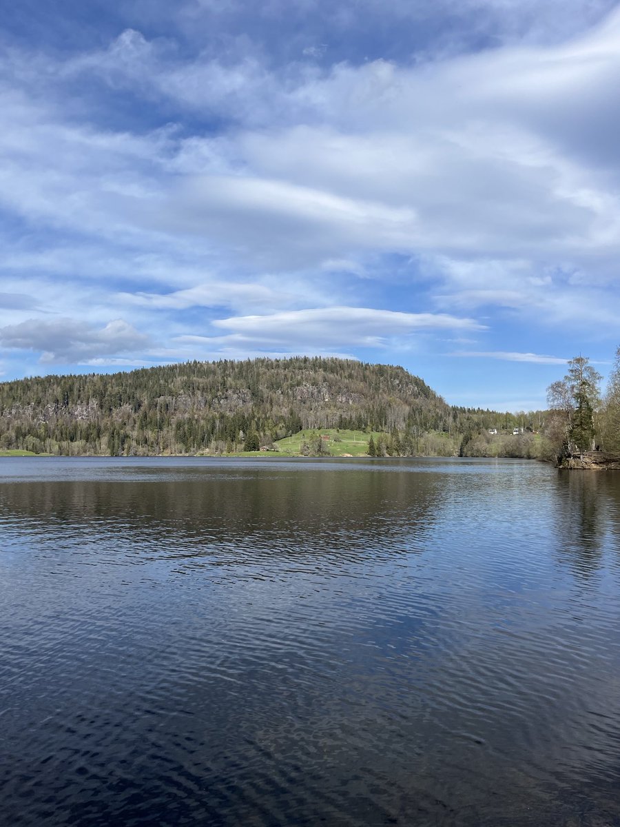 ShahidMAskerN's tweet image. Let's enjoy it together.🌲💙🤍💚
#Norway