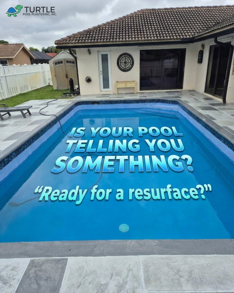 Turtle Pool Plastering tweet media