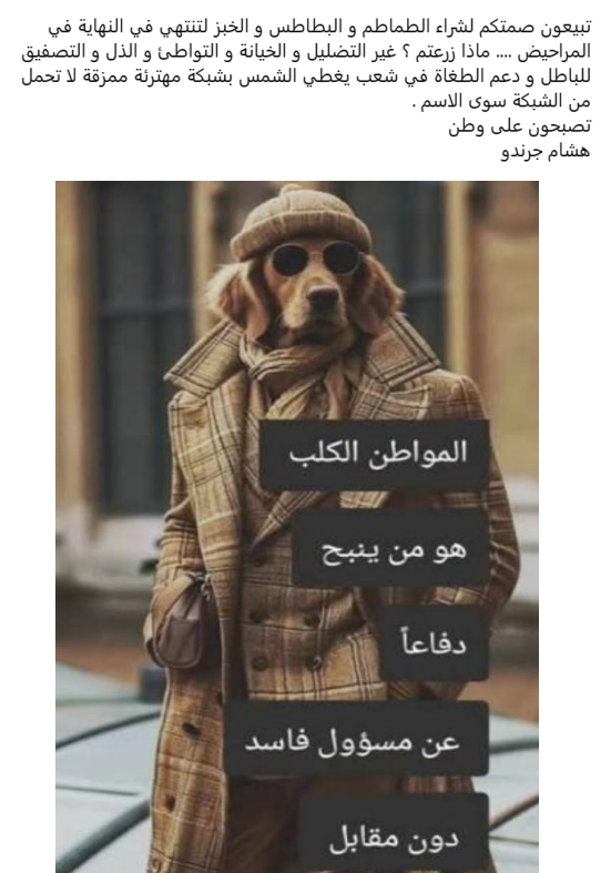 Talbi ghazi Ghazi tweet media