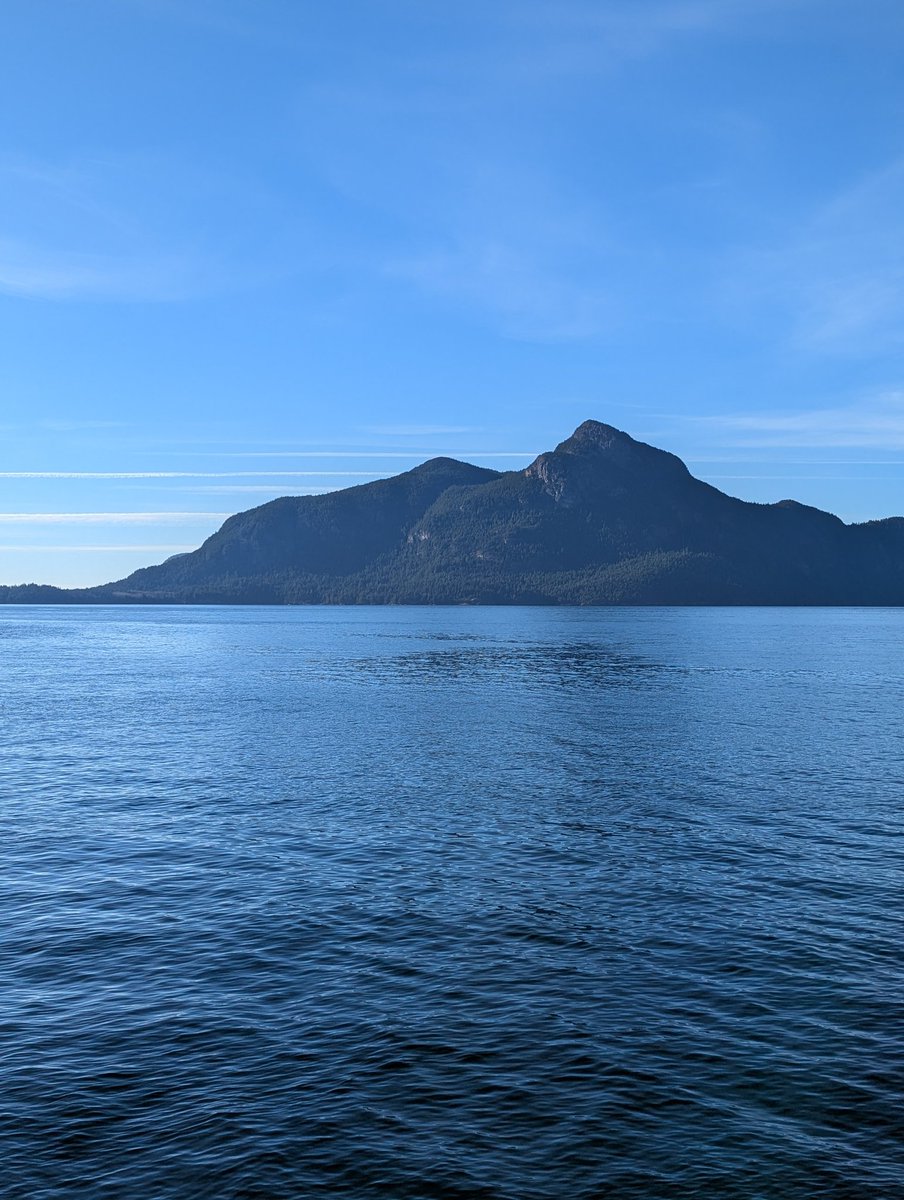 Grampa1950's tweet image. Share your shots for Flow Friday 🌊🌿

Take a new photo or choose one from your gallery!

#FlowFriday #HappyFriday 
#weekend