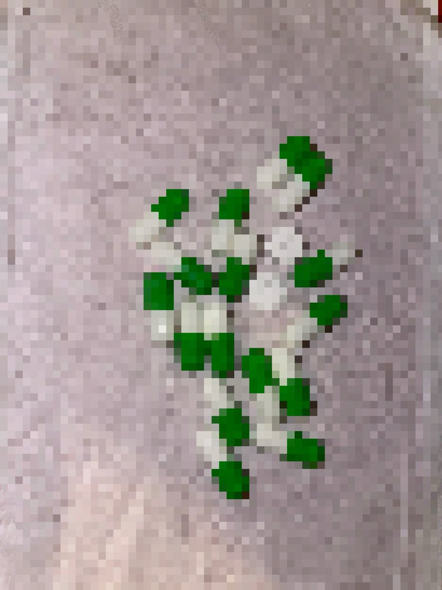 リジー（二世推u巡回中… tweet media