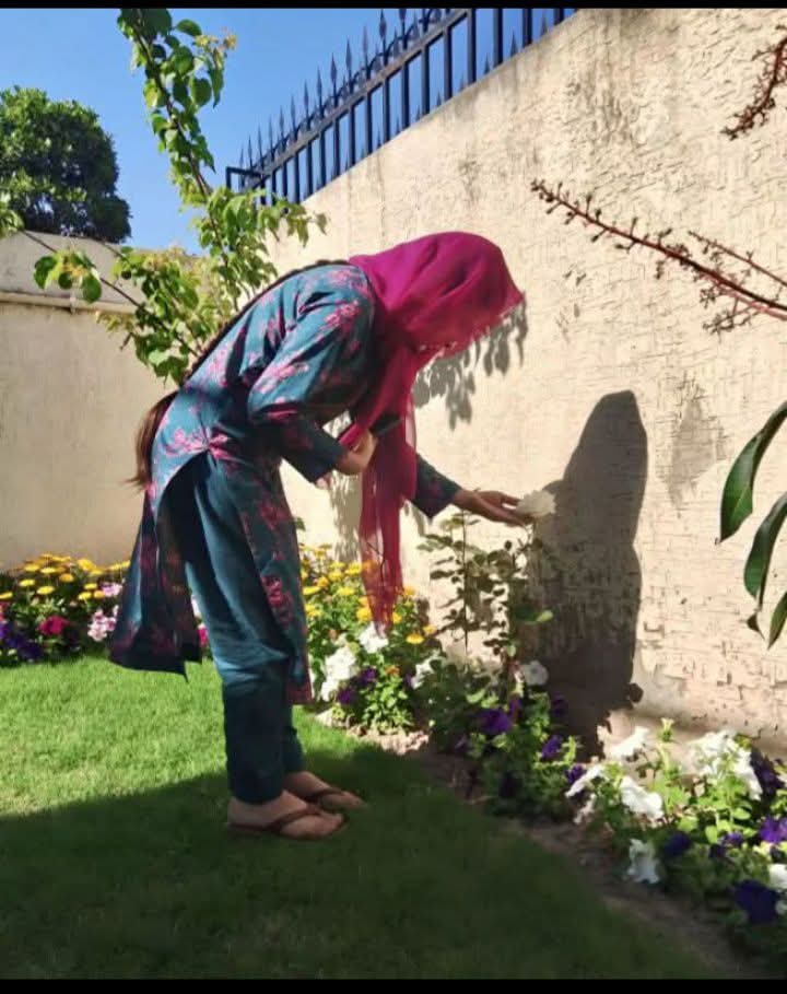 sadaf 🦋 tweet media