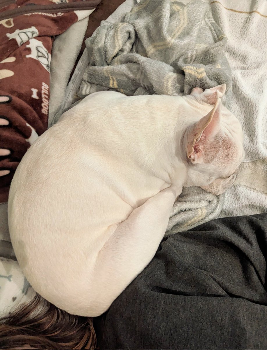 ハルヒコ tweet media