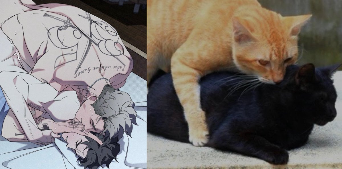 Cat Sand 🐈🐈‍⬛ - Day 11（ch 12
#wetsand  #tjian
 #tjyw