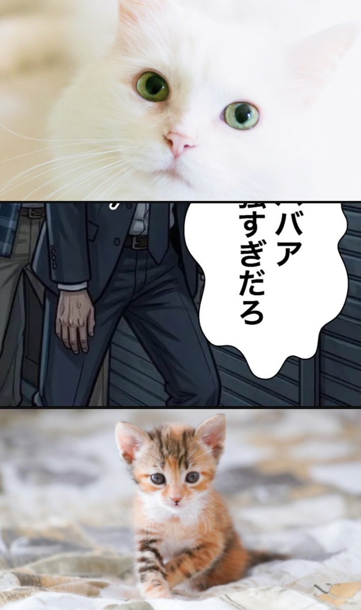 どんなところやねんｗSFW