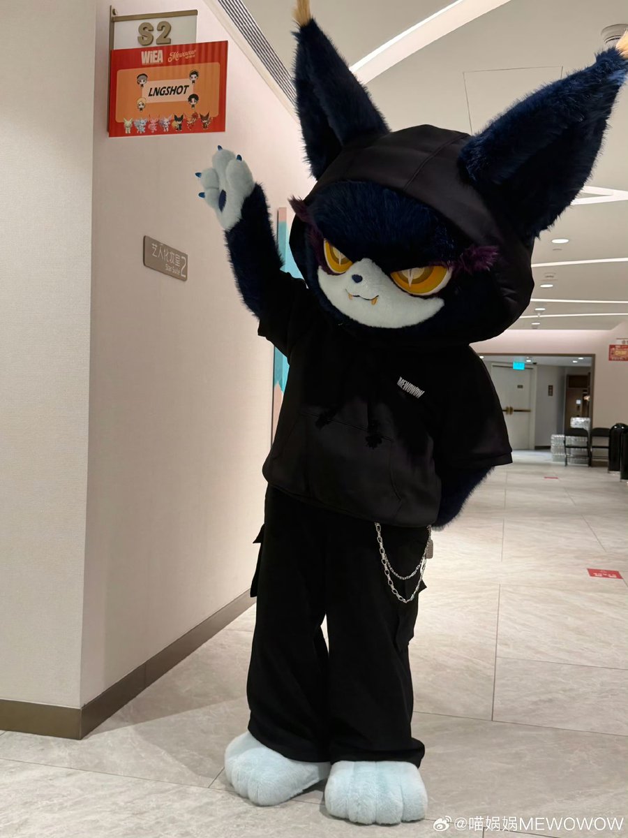 LNGSHOT UNION tweet media