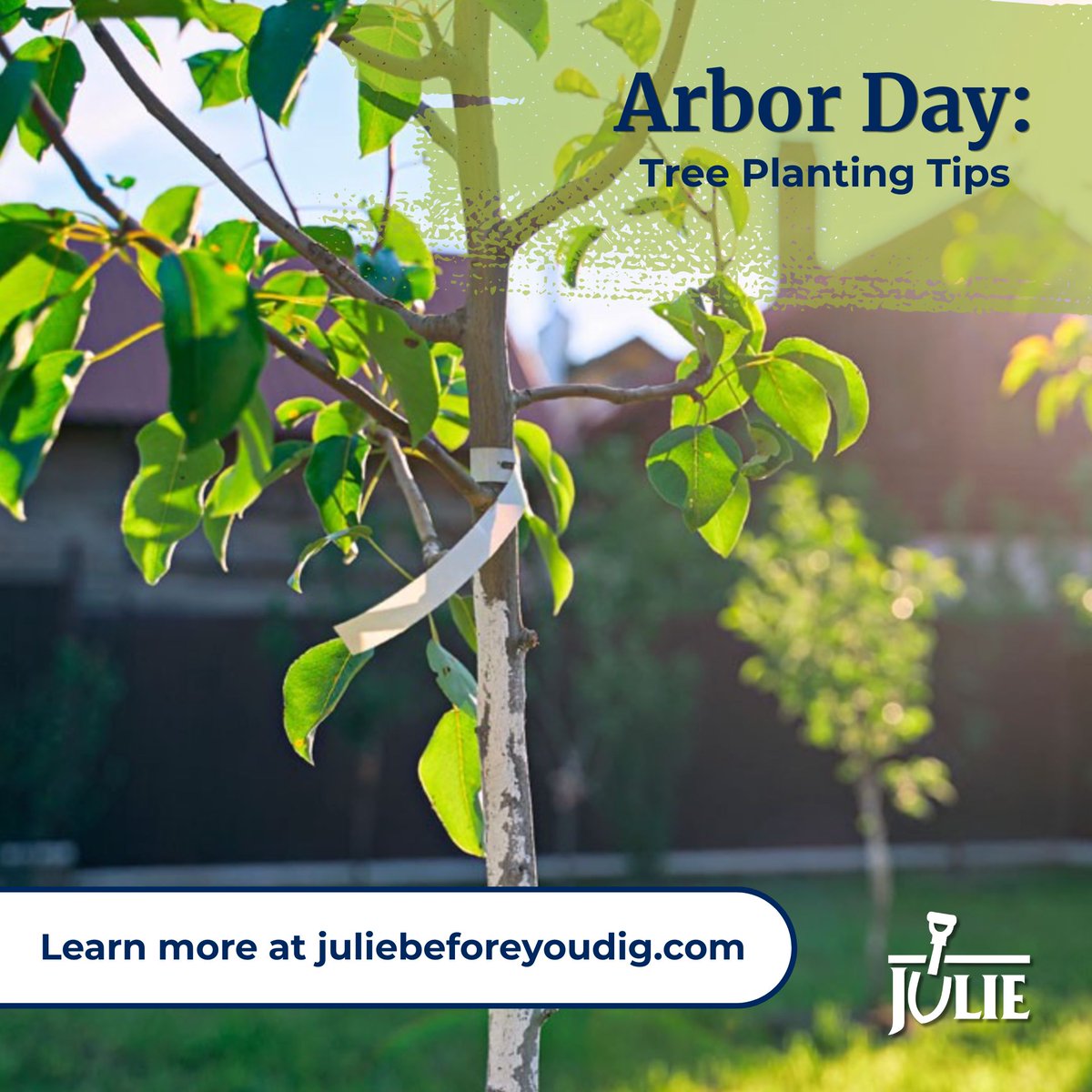 JULIE1call's tweet image. Happy Arbor Day! 🌳
Planting a tree is a great way to celebrate — just don’t forget: what’s underground matters.
Avoid these common planting mistakes before you dig:
bit.ly/six-common-mis…
#SafeDiggingMonth #JULIEbeforeyoudig #Call811