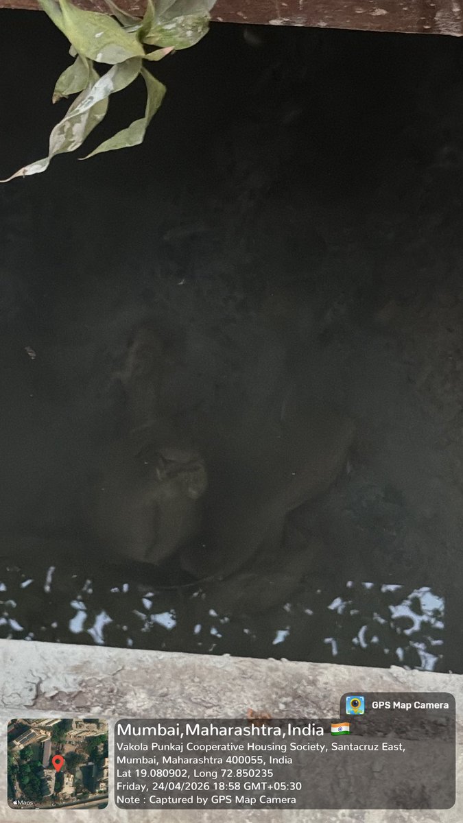 saumiltweets's tweet photo. After 5-6 months of deepening &amp; widening of drains, one water tank overflow, its been 1 hour but water wont flow through drains. Water is stationary in the drains, not flowing!
Drains are full with debris from road construction!
@mybmcWardHE @mybmc @AshwiniBhide @TawdeRitu https://t.co/4ZQf9fvL96
