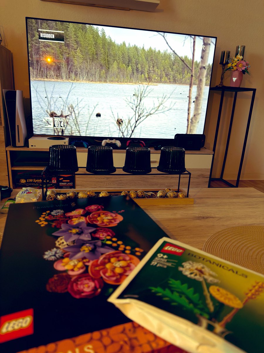 Josi_Jojo_94's tweet image. Wieder zu Hause. ✨
Erstmal die Elchwanderung‘26  verfolgen &amp;amp; bisschen Lego bauen. 🩵
#entspannung #lego #botanicals