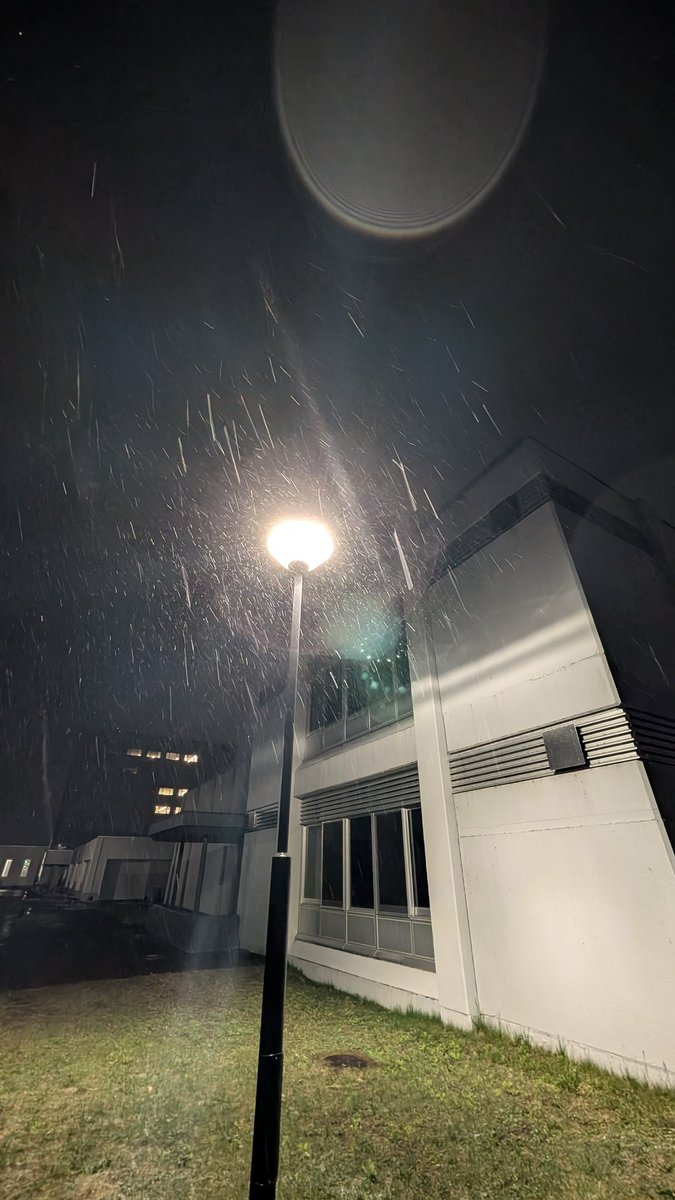 北見の積雪観測情報（気象予報士 白川龍生） tweet media