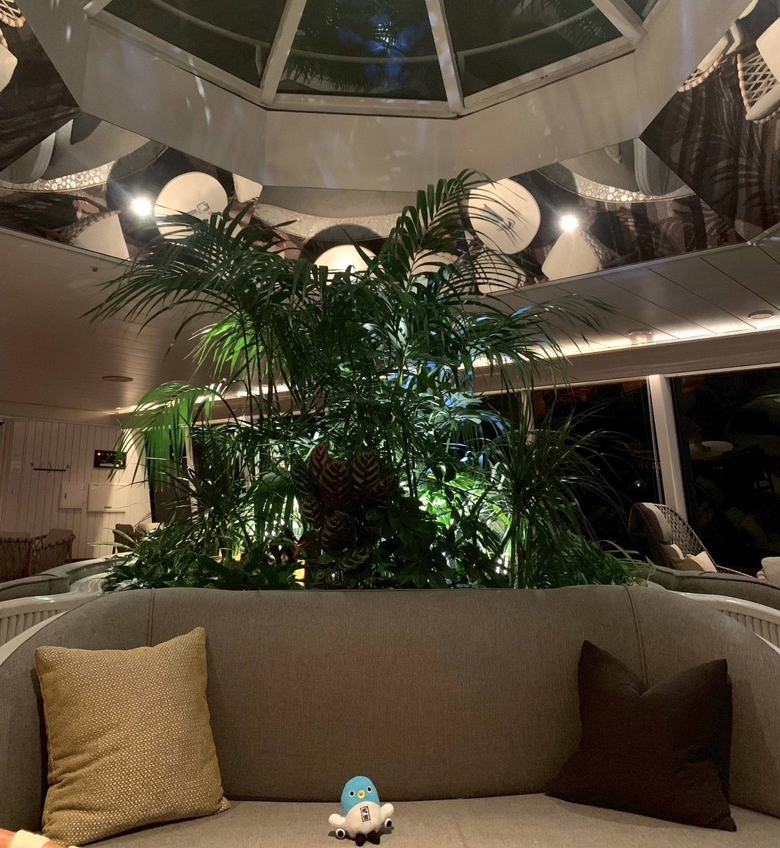 ♡趣味アカ tweet media