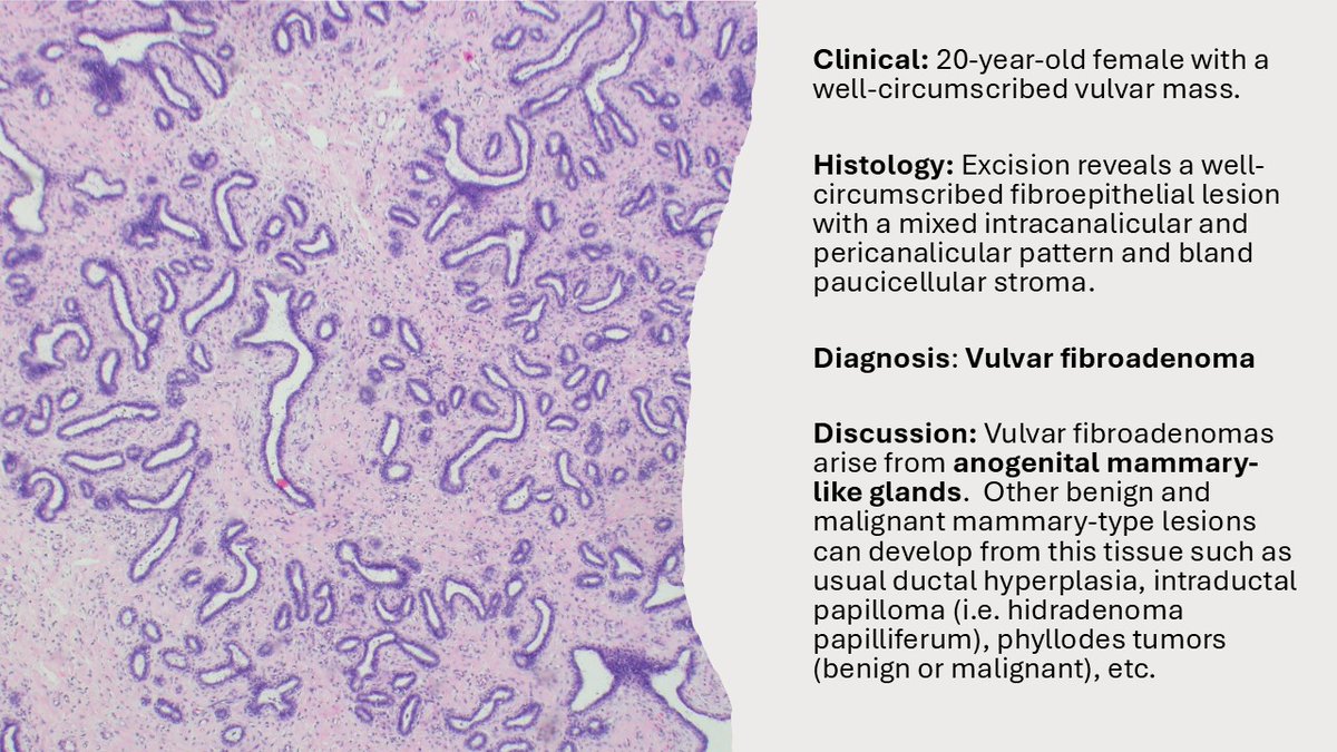 The Joint Pathology Center (JPC) tweet media