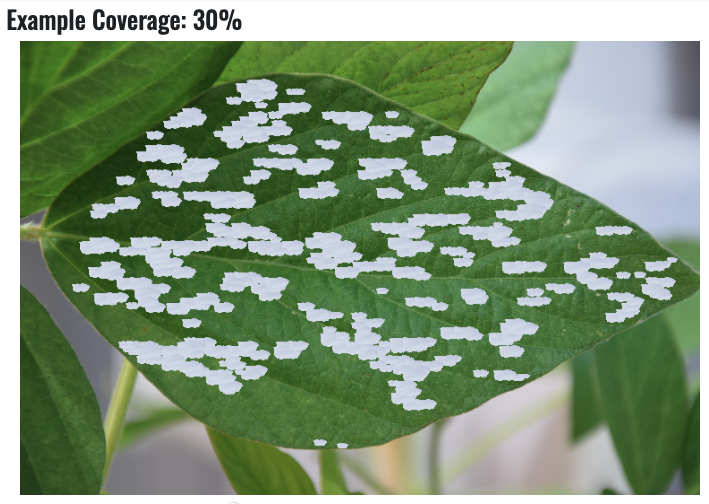 Crop Protection Network tweet media