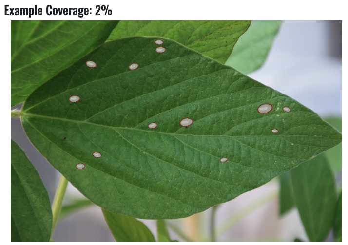Crop Protection Network tweet media