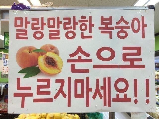 두부 (@ichmochte_) on Twitter photo 