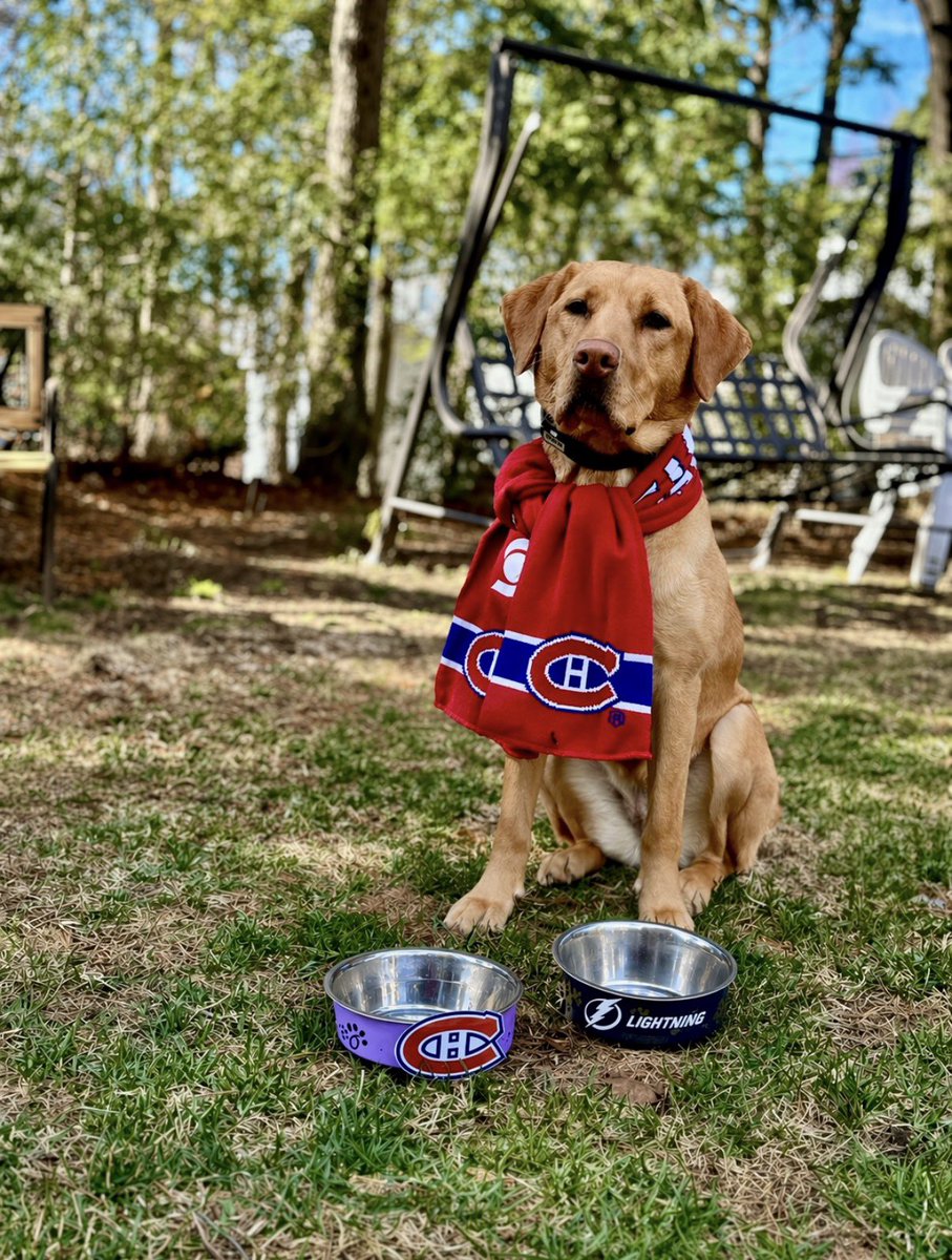 Bon vendredi !

🌡️5° ☀️☀️☀️

Belle journée lumineuse 

Et Go Habs Go !!!

💙🤍❤️

Bonne journée à tous ! 

#10k 👣 #onbouge
<a href="/marie1h1/">Marie H🏃‍♀️🧘🏼‍♀️☀️👗👟👡🩴👙🏖👩‍⚕️🎹</a> <a href="/LanteigneManon/">Manon Lanteigne 🇨🇦🌻</a> <a href="/VadnaisArmand/">ArmandGuenon 🐒 Coffee boy ☕️</a> <a href="/SimonMnard4/">Simon Ménard</a>