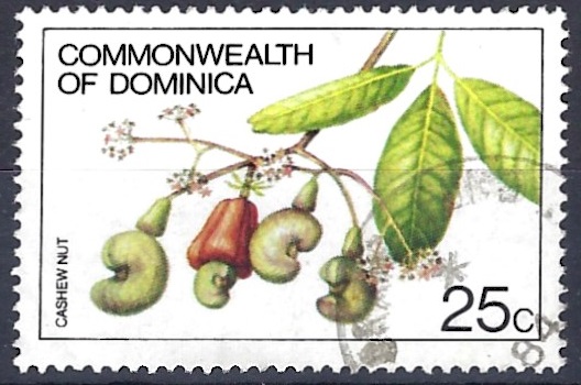 filatelicly's tweet image. Good afternoon everyone 🌤️
Dominica - Enjoy your day! #stamps #timbres 
#sellos