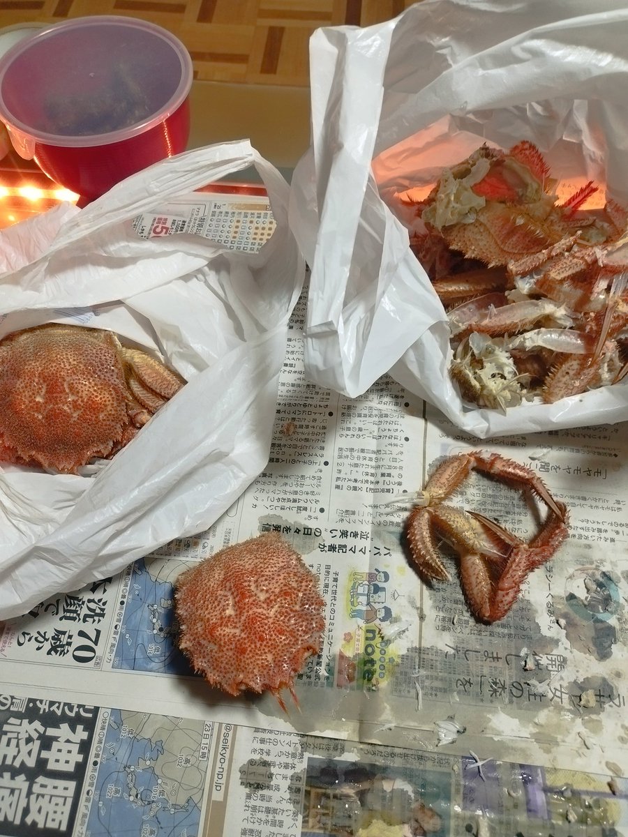 ✞Maria✞【♂】 tweet media