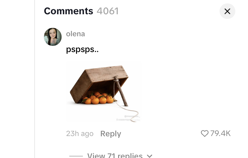 JRJ ㉧㉣㉣ tweet media