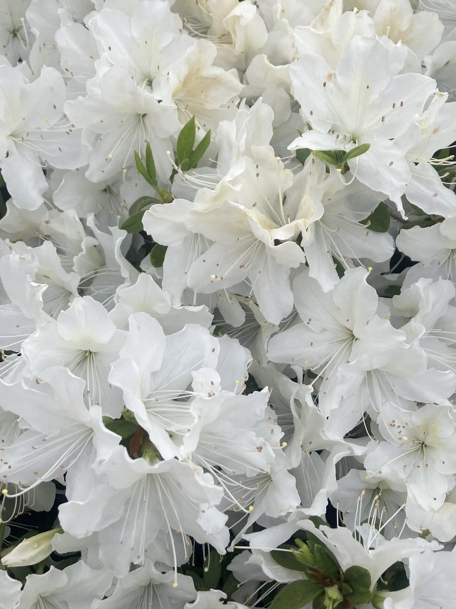 emi🌠🐈 tweet media