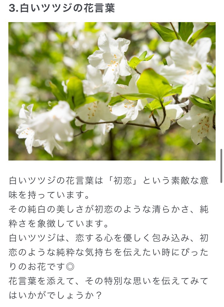 emi🌠🐈 tweet media