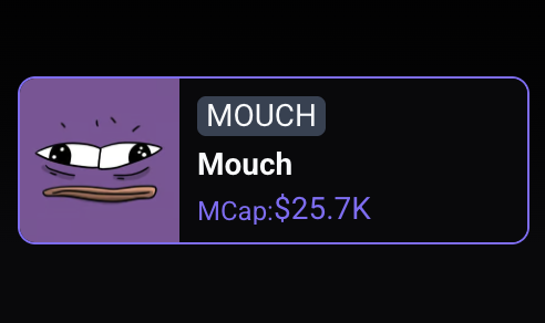 Mouch tweet media