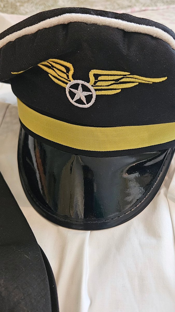 bigzy786ma's tweet image. The pilots neccasties.
#wings #citizenwatch #stripes #captainslog #capainscap #flightless #uniform