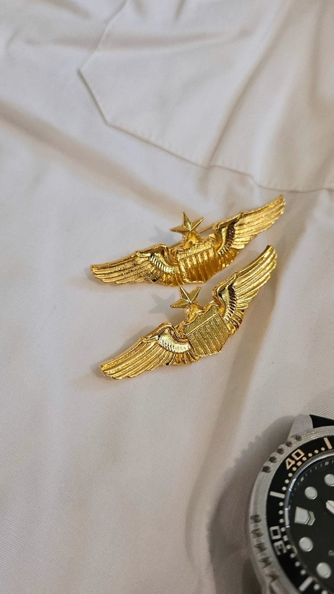 bigzy786ma's tweet image. The pilots neccasties.
#wings #citizenwatch #stripes #captainslog #capainscap #flightless #uniform