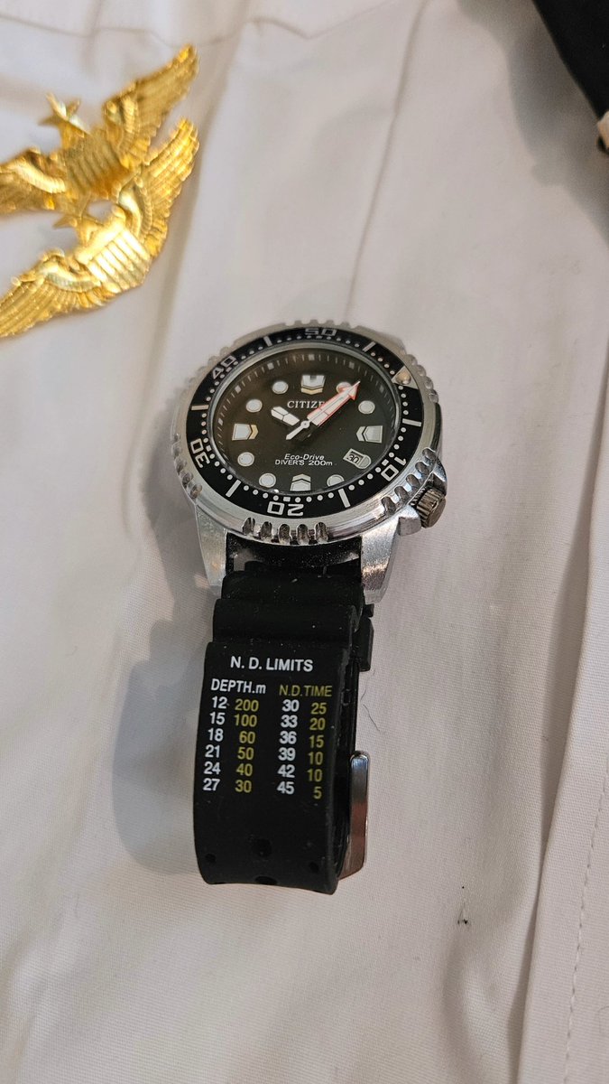 bigzy786ma's tweet image. The pilots neccasties.
#wings #citizenwatch #stripes #captainslog #capainscap #flightless #uniform