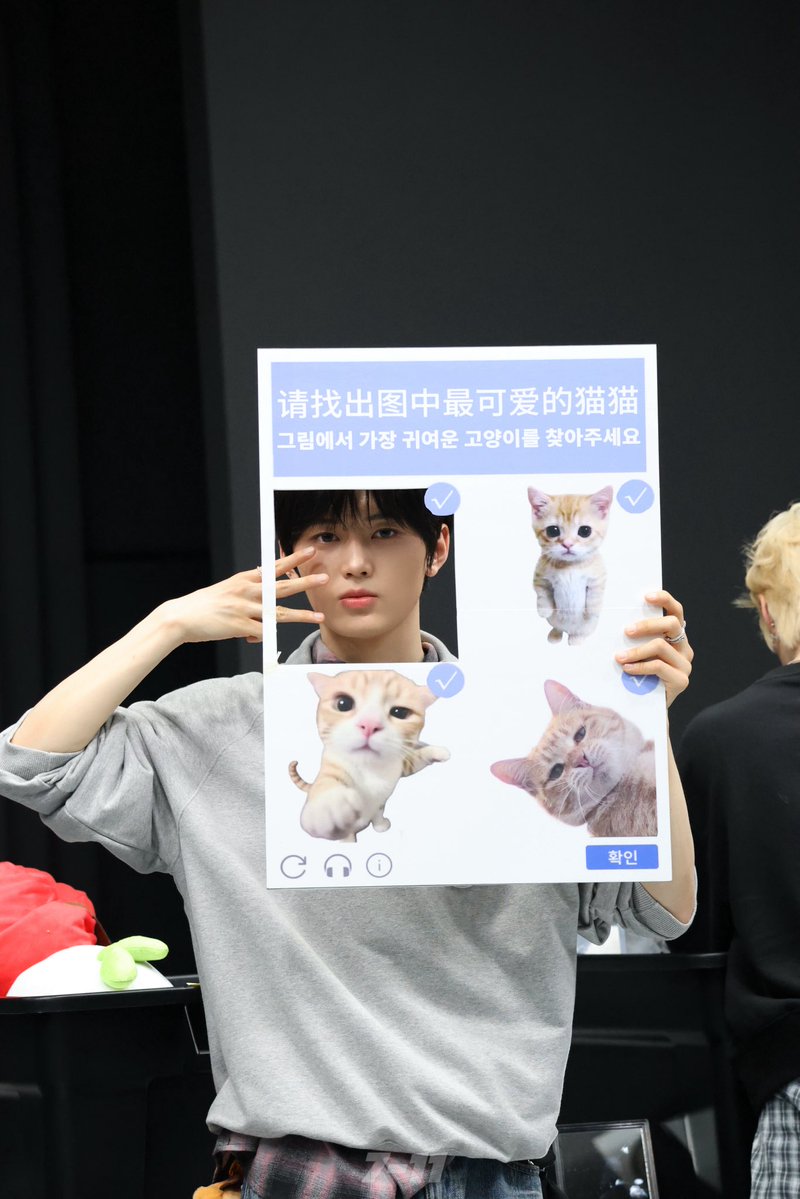 7-11🍪 tweet media