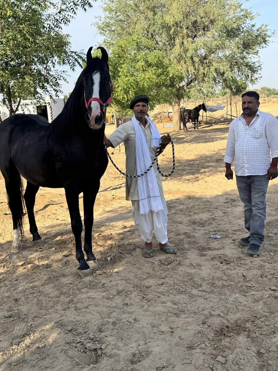 Advo Mahendra Singh Barmer tweet media