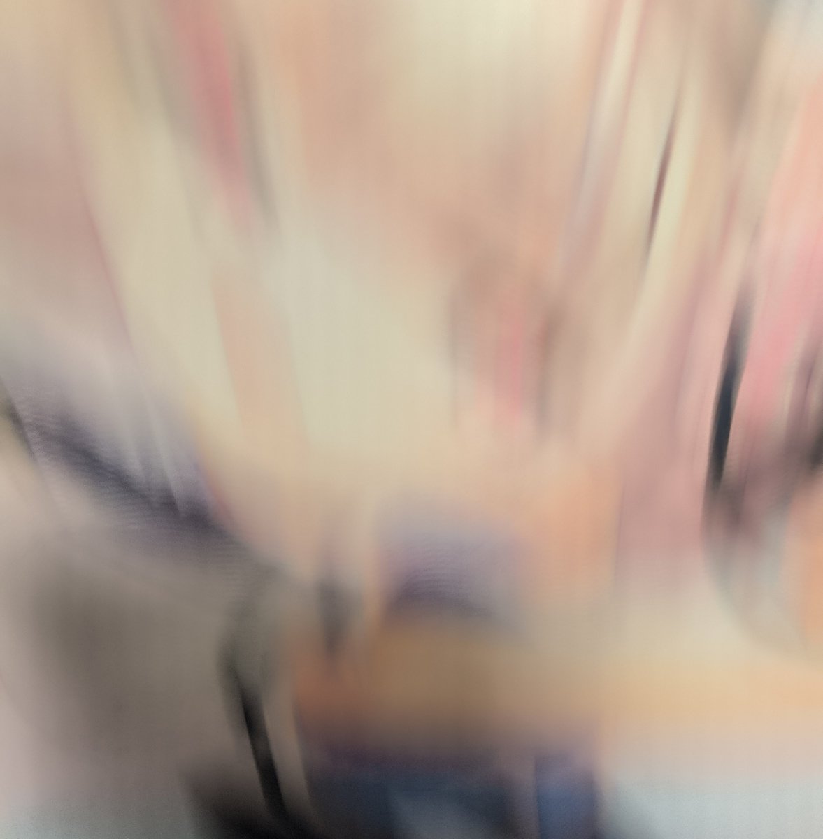 hbvdcom's tweet photo. ピザが届きましたうわああぁ！！🍕
#アネモイ https://t.co/KhLtTkJp61