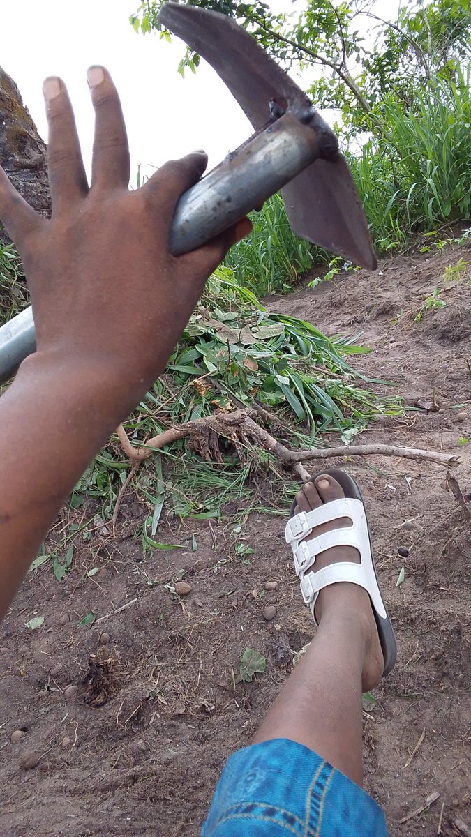 Rita ❤️ tweet media