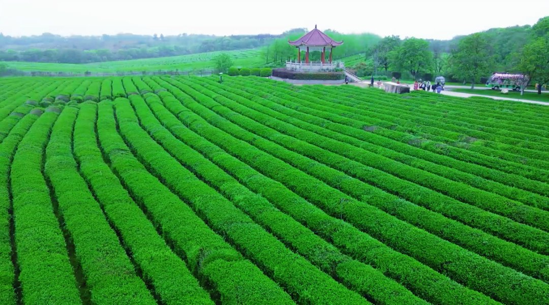 Nanchang County tweet media
