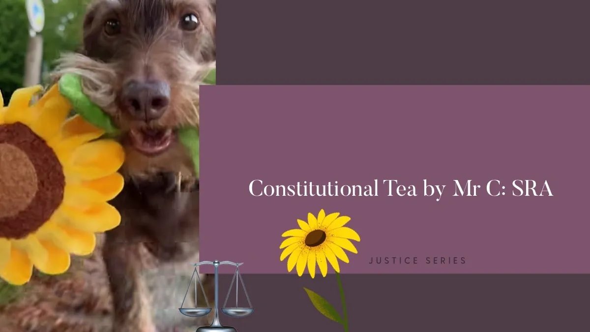 westminsterhub's tweet image. 📰🗞️This month we also question why the “nothing to see here” failings of the @sra_solicitors directly impacts marginalised communities and whether Mr C (and others) can look at public law collectively to drive change.

thewestminsterhub.com/news/f/constit…

🌻 #accesstojustice