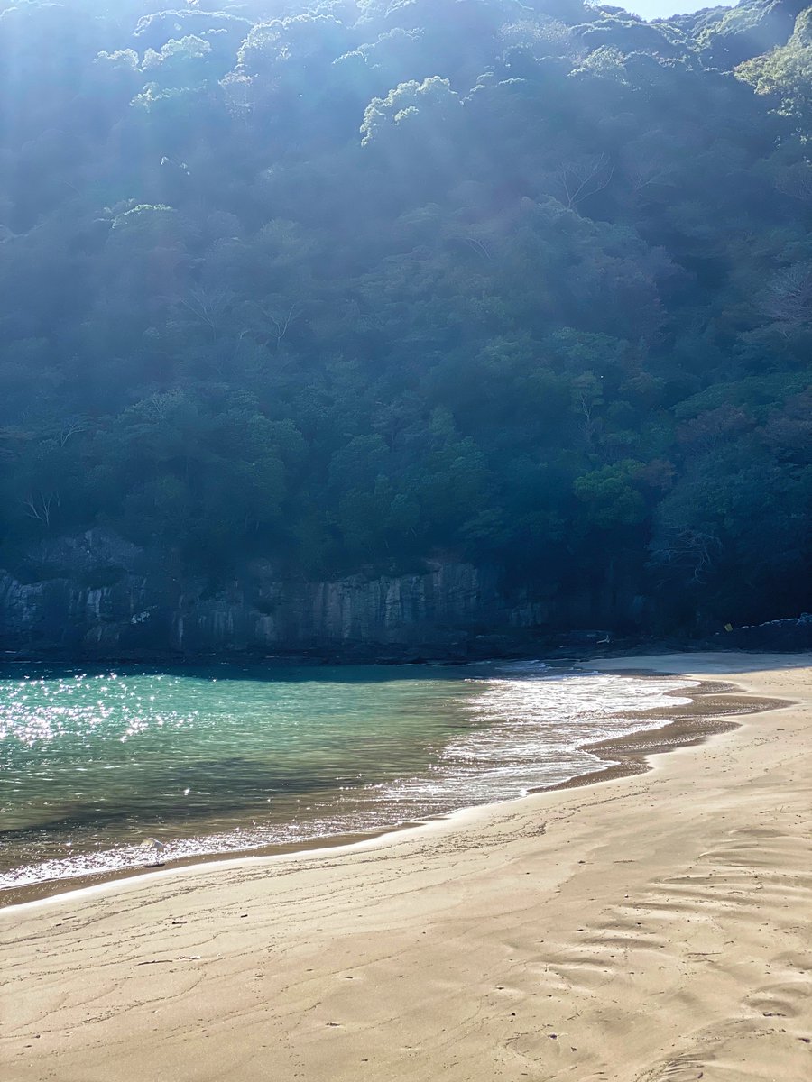 水野ちはる tweet media