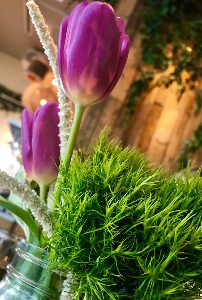 GGoodtaste's tweet image. #FridayFlowers are the alphabet of angels, whereby they write on the hills and fields mysterious truths - Benjamin Franklin 
What mysterious truths do you see in nature today? 
#FridayThoughts #FridayMotivation