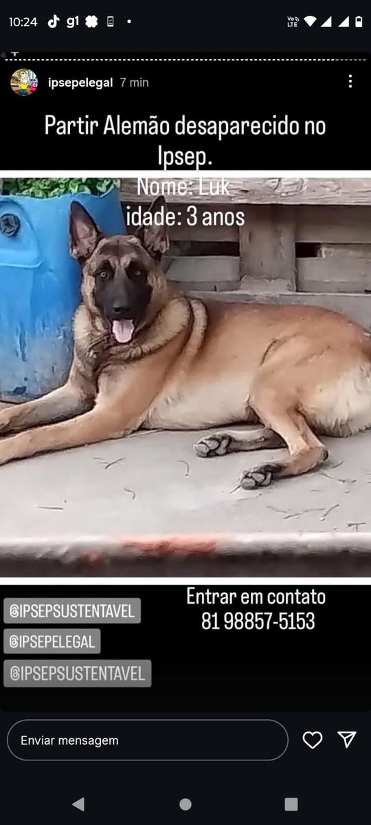 Flávio Costa tweet media