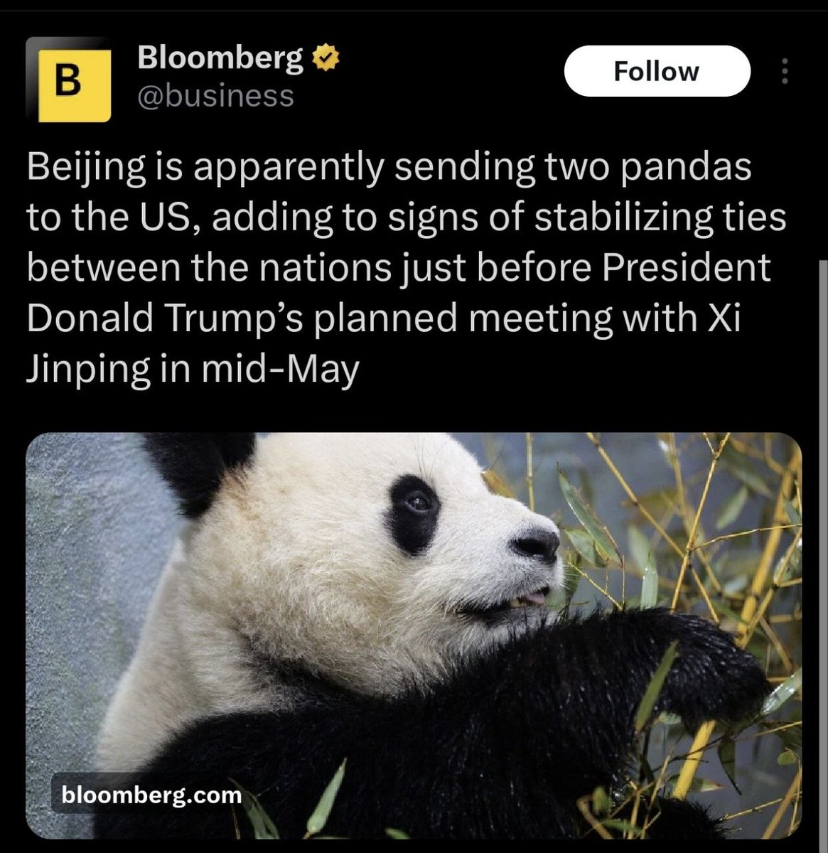 Ping Ping and Fu Shuang tweet media