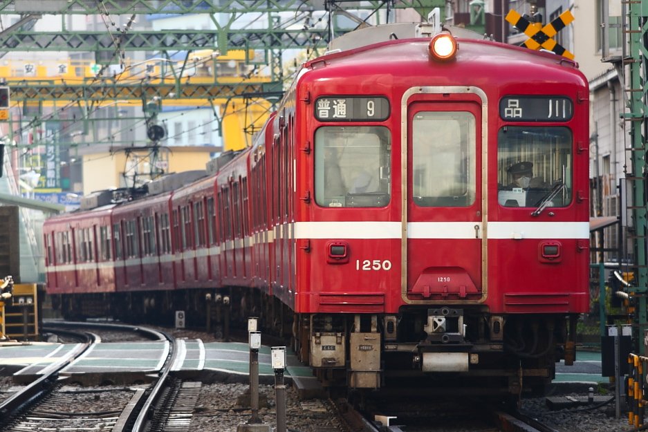 た ら ら ん🎵 tweet media