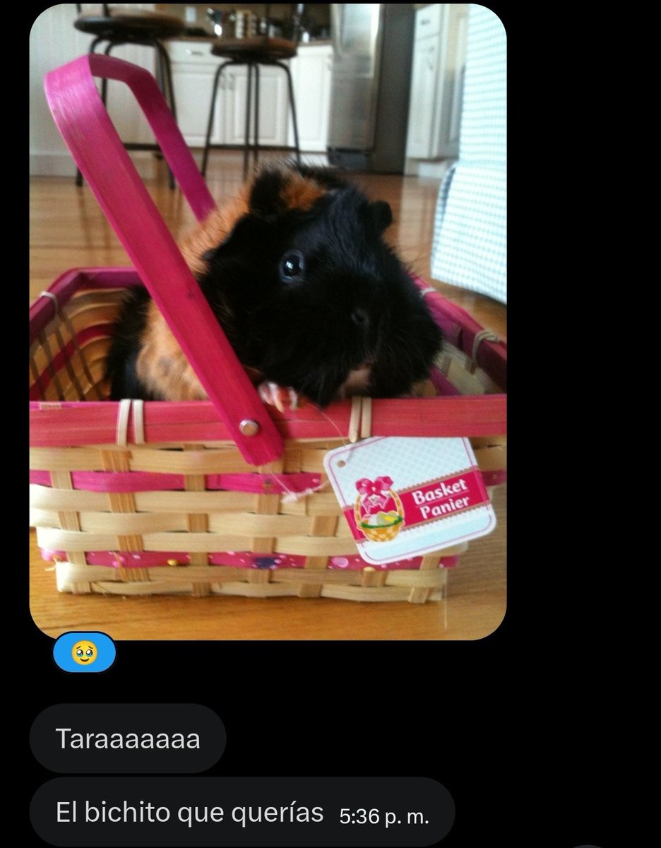 Nath hyung me regaló un cuyo, soy la persona más feliz del mundo 😭