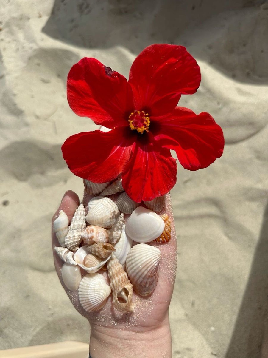 landspace tweet media